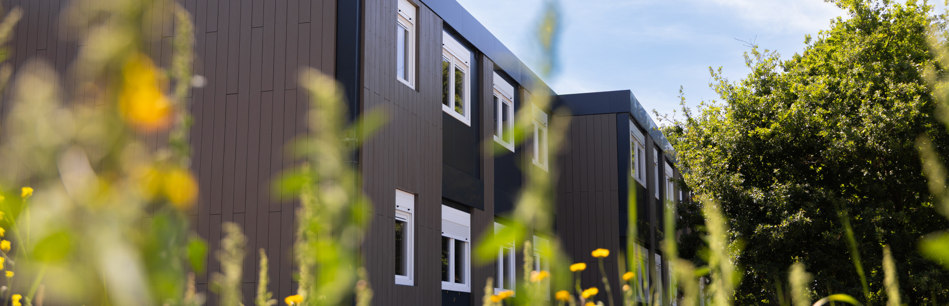 Community-focused living spaces Eindhoven