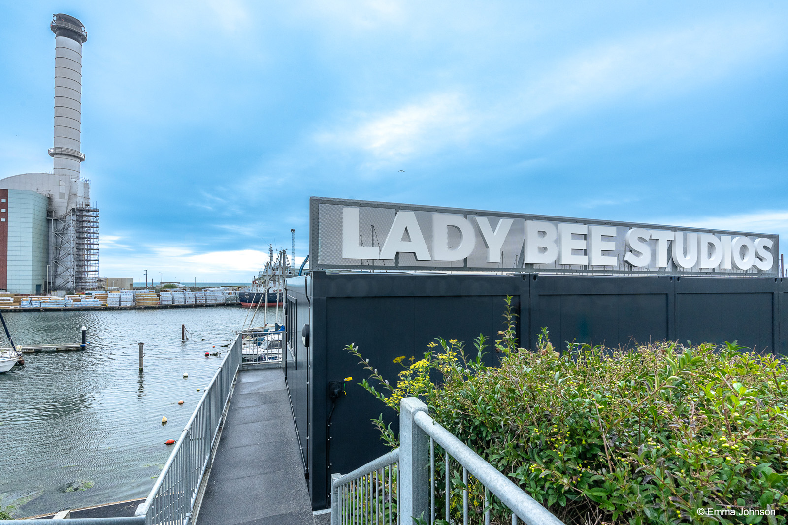 Lady Bee Studios