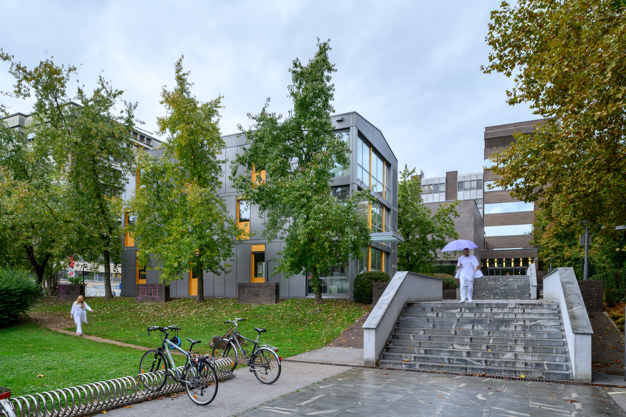 Relocation - Faculty of Medicine, University in Ljubljana 